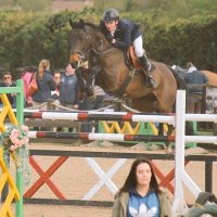 BrambleEquine (@bequinetc) 's Twitter Profile