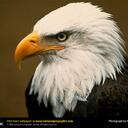 Michael Spurrier - @sunnyman321 - Twitter