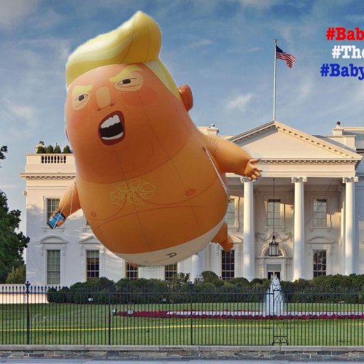 Protest Art inspired by the US election of a Reality TV Show president- HE'S GONE  #ArtActivism - originator of Trump Baby Blimp @TrumpBabyUK