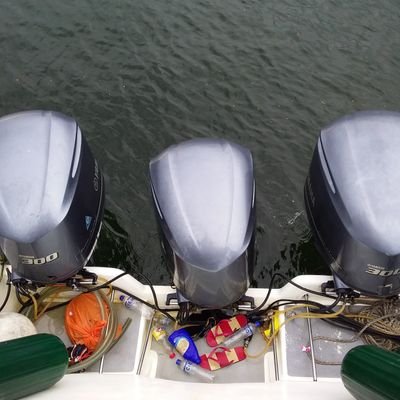 mortadela0077's profile picture. Emprendedor 📈📊
Nautica Digital 🚣‍♂️
Produccion 🎼