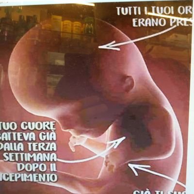 Remo2222222's profile picture. fatti non foste a viver come bruti ma per seguir virtute e conoscenza