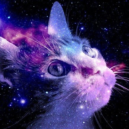 Space Catさんのプロフィール画像