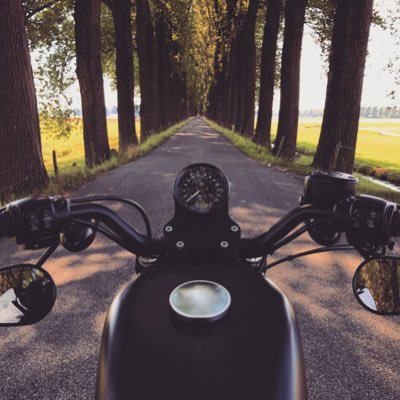 user_alexander's profile picture.  || IT cowboy || gamer || musician || beers || Web & App Developer