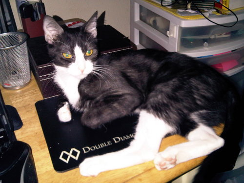 CaroleTaylorLVN's profile picture. Missing my BFF & hubby, Himey!  I love you & miss you soooo much.  I'm quite messed up now.  Jesus help!!