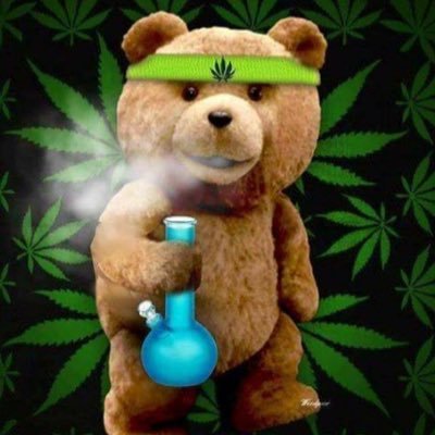 LIFE’S A BITCH AND THEN YOU DIE SO FUCK THE WORLD AND LET’S GET HIGH 💨 💨 💨