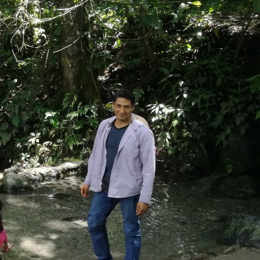 patagonaginas's profile picture. 