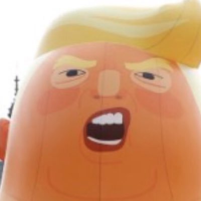 eeniemmmo's profile picture. I'll tell you what.Look,these https://t.co/JD9hHkaJ6E's great.Some people,even many people are telling https://t.co/GH4zgNNj9a many people you wouldn't believe it.Every day they're telling me