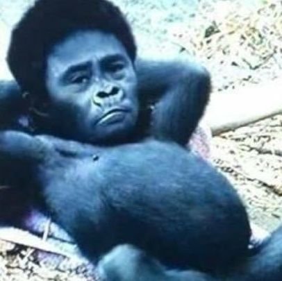 社畜属性で潰瘍性大腸発症して転職、社畜属性変わらずに'23難病の天疱瘡発症現在ステロイドと抗癌剤で症状抑える治療中、元々新潟県内アチコチ仕事で出没してたけど現在仕事じゃ禁止されてるんでプライベートでSNSで繋がったお店とか面白い情報見つけたら行ったりして愉しんでます😁
個人的活動で新潟県の情報発信もしてます👍