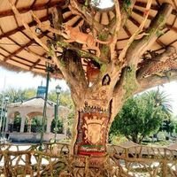 Pedro Perez Puente (@pedroperezpuen2) 's Twitter Profile