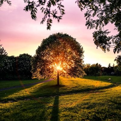 angiesandoval90's profile picture. 