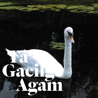 DuilsaDulra's profile picture. Spás í seo do phictúir agus plé (i nGaeilge) ar téama an #Dúlra i dteannta leis an grúpa FaceBook #Gaeilge 

A space for pics and chat (in #Irish) about #Nature