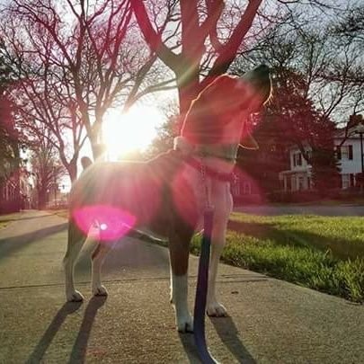 BenMeyers37's profile picture. Working with Ed Lewi Associates. Always a Beagle and Horse fan.