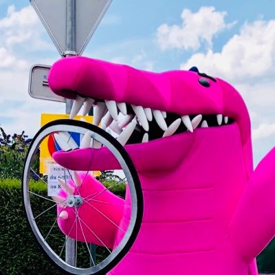 The biggest (literally) supporter of Team @ride_argyle. I’ll be at all the major races showing my #pinkargyle pride. #ourguyargyle 🐊