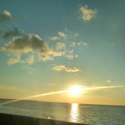 ReadEnjoyLife's profile picture. Wife, Mom to 3, Elementary teacher librarian, hoping for a cure for ALS, FTD, and DMD.  Reading and drag racing are my passions.