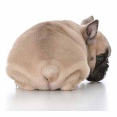 yasunobu_02's profile picture. 