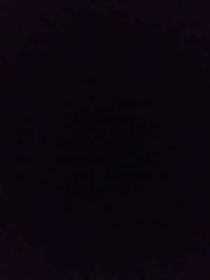 TaTarr43's profile picture. 払子