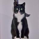 Tracey Henry - @BTHenry2008 - Twitter