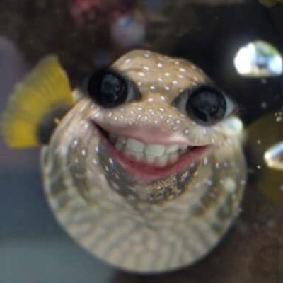 666_hikari's profile picture. ドL'🌈