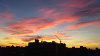 毎日 喫茶店、時々 埼玉西武ライオンズ。
好きな打ち取り方はチェンジアップで空振り三振。
インスタでは写真とコメント多めに載せてます↓