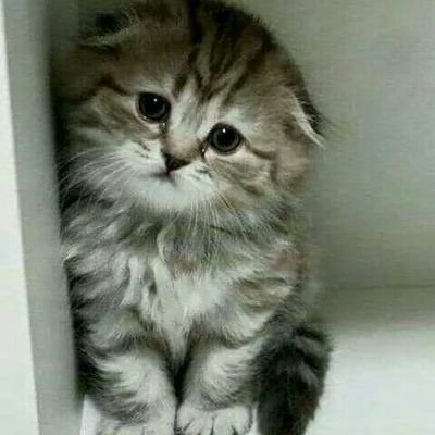 minhkimbum's profile picture. 🍀Khi năm ấy qua đi...em lặng nhìn lại 🌸🌸
🍀Thì ra thanh xuân của em chỉ toàn là anh :) ❤