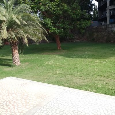 darshangajera15's profile picture. 