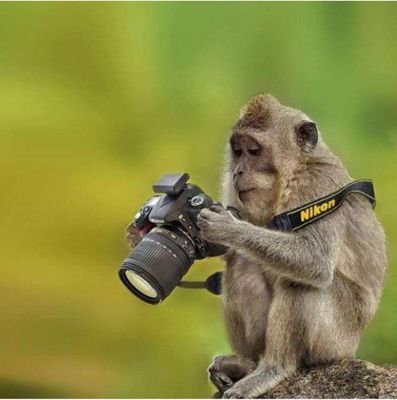 Bestphotograp19's profile picture. 12