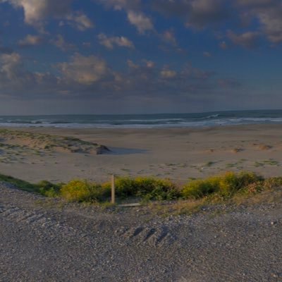 tsdkkwbHHvUDSlx's profile picture. ショッピング大好き！ アマゾンの商品全部こぉーたるわー！笑