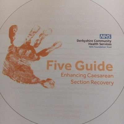 Fiveguide1's profile picture. Janine Mcknight-Cowan BEM, Queens Nurse, #rcni 2019 winner, author of Five Guide- enhancing C section recovery, and raising awareness of postpartum Sepsis.
