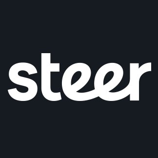 Steer_Group_LA Profile Picture