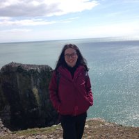 Liu Shi (@liushi_oxford) 's Twitter Profile