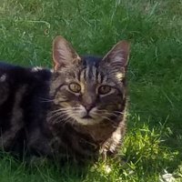 Julie (@jsred40) 's Twitter Profile