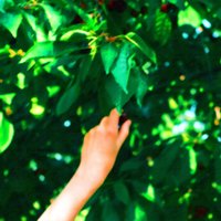 古典bot　～140字で読む文学・哲学〜 (@classicall_p) Twitter profile photo