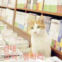 건대 코믹갤러리 (@comic_gallery) 's Twitter Profile Photo