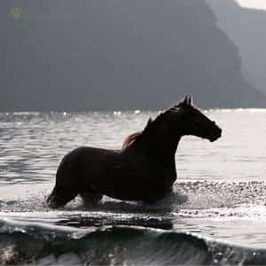 4Nsbwep6Juwlcp1's profile picture. 