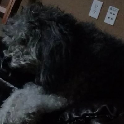 William__Hacker's profile picture. Hi
