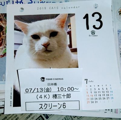 猫好き、クルマ好き、映画好き