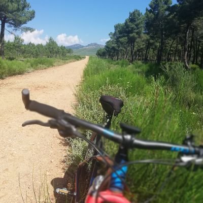 Hek_Sony's profile picture. 