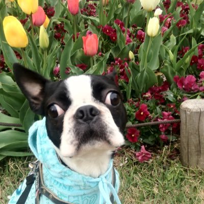 はち さんのプロフィール写真