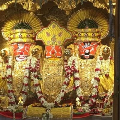 kaushik83840007's profile picture. Happy Human