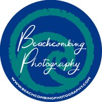 Beachcombing Photography(@beachcombphoto) 's Twitter Profile Photo