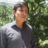 Nasratullah samim (@nasrat_samim) 's Twitter Profile