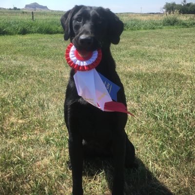 RussKindig's profile picture. 