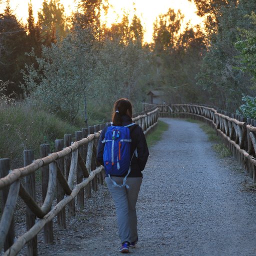 economista, naturaleza,fotografía