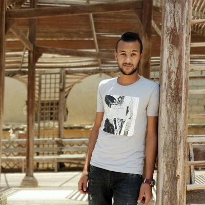 Emad Abdelhady Profile