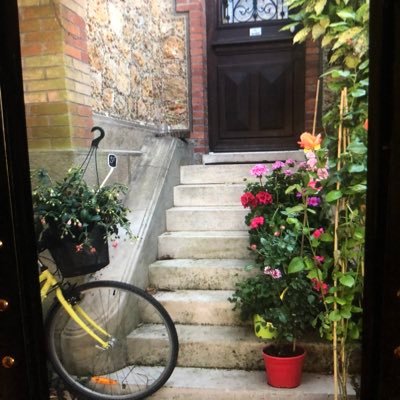 abeer80343448's profile picture. 