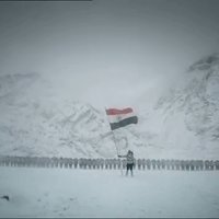 Num Num (@numrnum) 's Twitter Profile