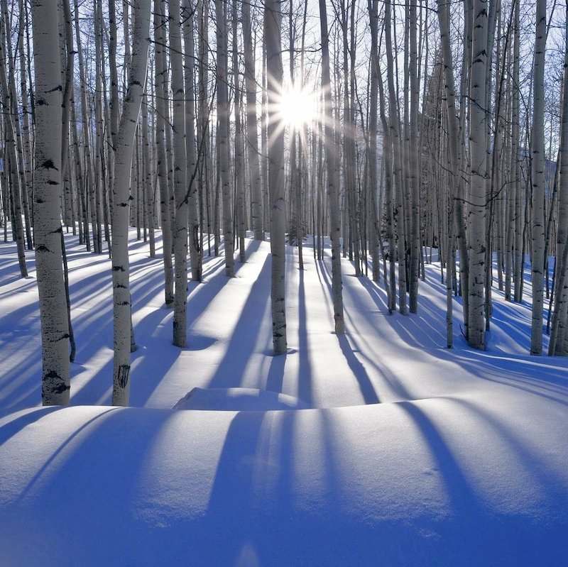 CoachOctagon's profile picture. Helping create wholeness one step at a time, starting with inner transformation and then sharing it with all beings.

Plants, animals, people and other realms.