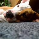 Ryan Ratner - @Ryan_Ratner - Twitter