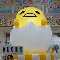 ミッキー (@mikiryun0830) 's Twitter Profile