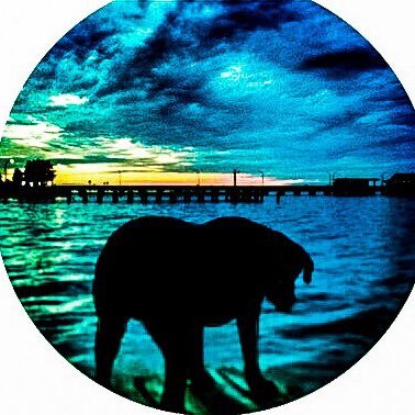 1SICRN's profile picture. “I don't remember half the time if I'm hiding or I'm lost But I'm on my way”-Chris Cornell